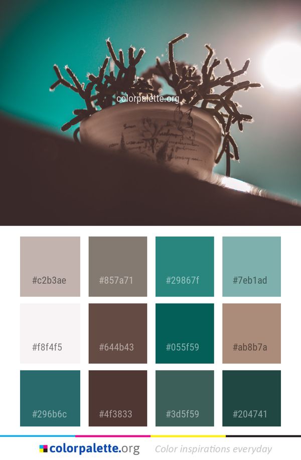 Close Up Macro Photography Computer Wallpaper Color Palette