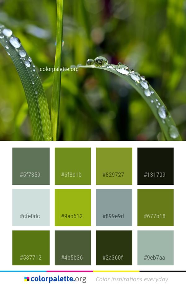 Dew Water Moisture Color Palette