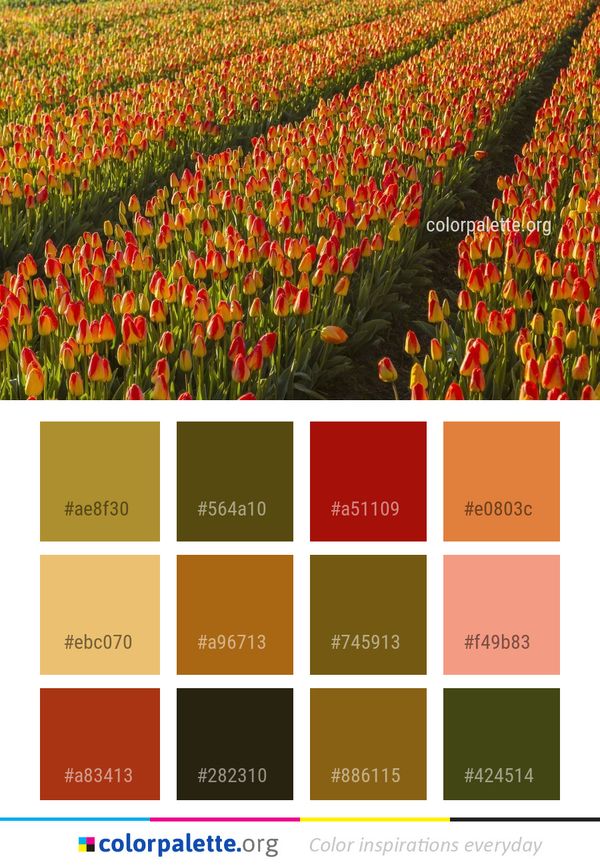 Flower Plant Flowering Color Palette