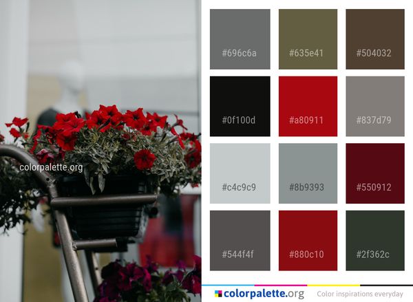 Flower Plant Red Color Palette