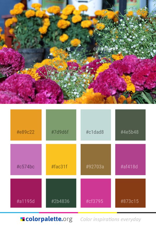 Flower Yellow Plant Color Palette