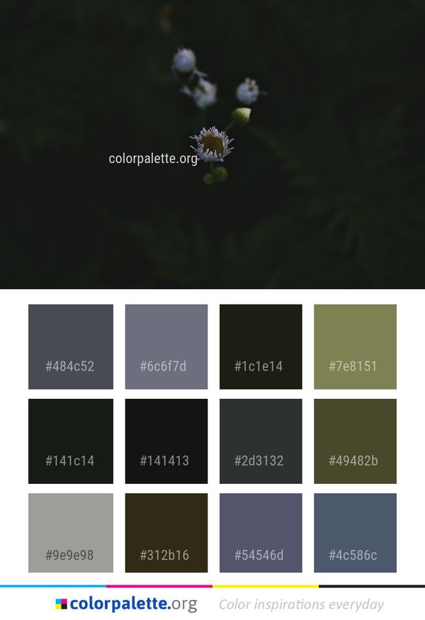 Nature Flora Darkness Color Palette