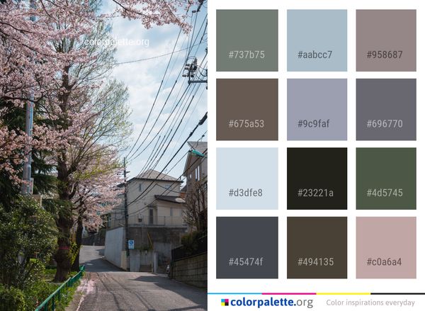 Plant Flower Tree Color Palette