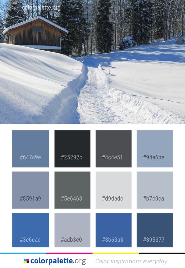 Snow Winter Freezing Color Palette