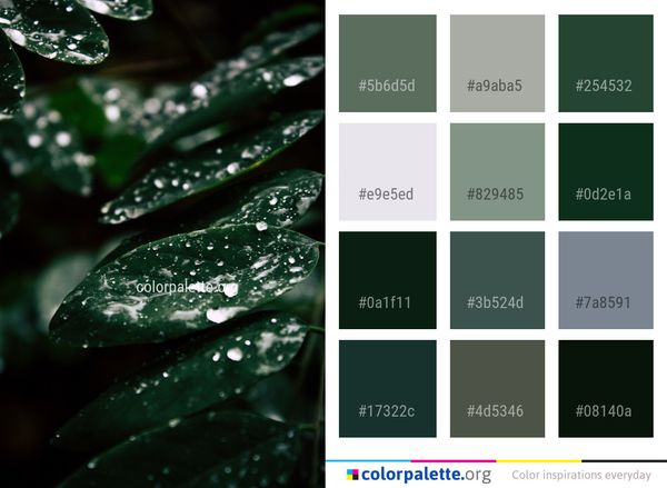 Water Dew Drop Color Palette