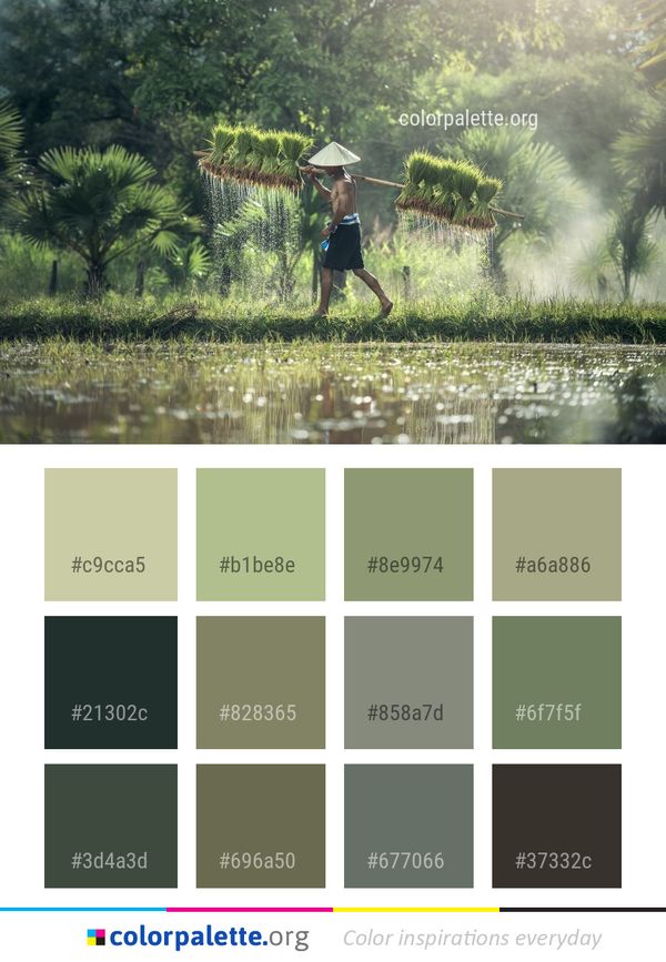 Water Nature Reflection Color Palette