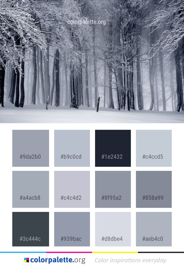 Winter Snow Tree Color Palette