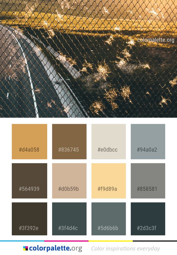 Yellow Light Sunlight Color Palette