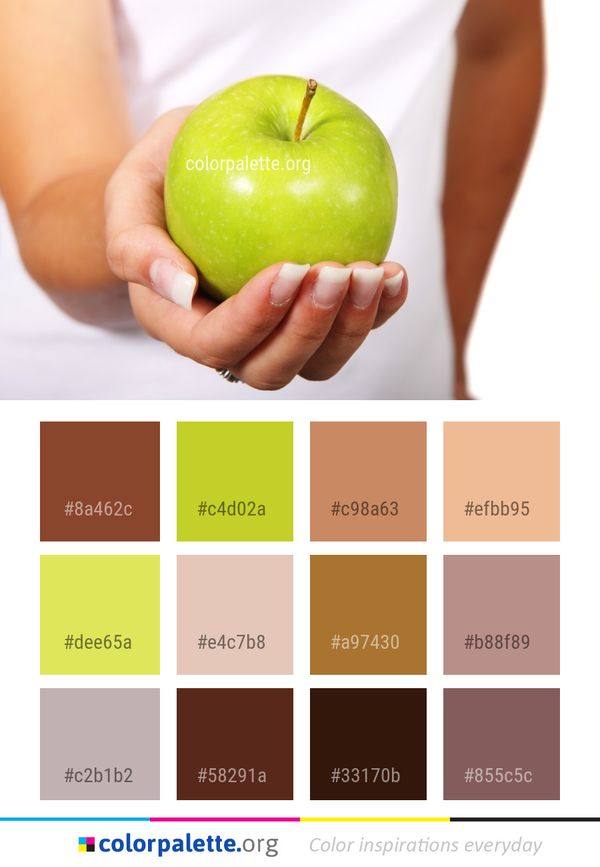 Apple Granny Smith Fruit Color Palette