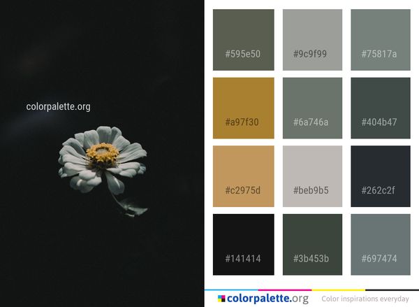 Flower Flora Macro Photography Color Palette