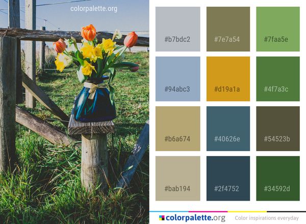 Flower Plant Flora Color Palette