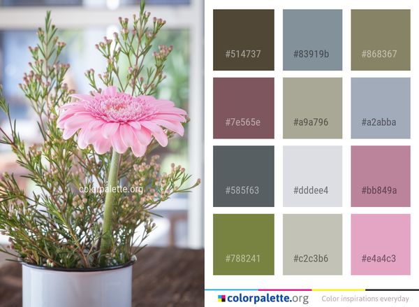 Flower Plant Flowerpot Color Palette