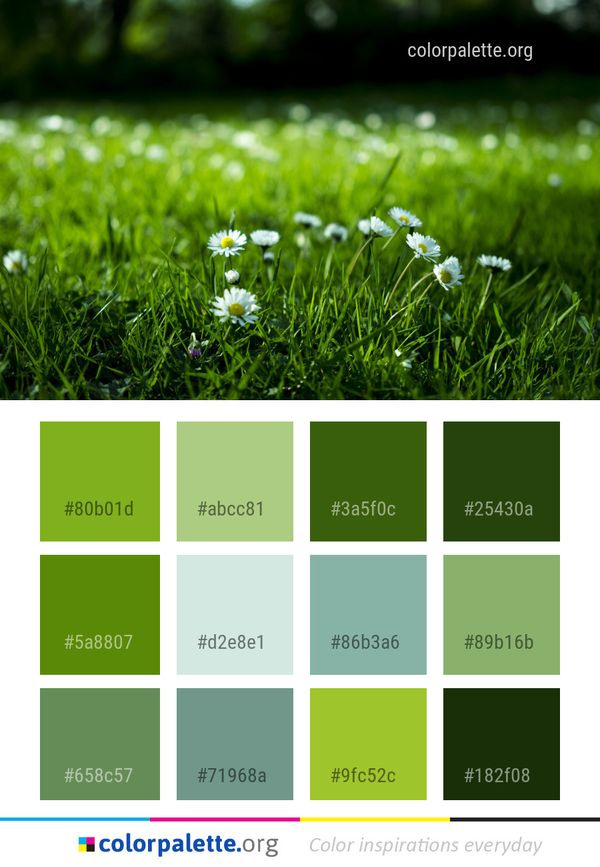 Green Grass Flower Color Palette