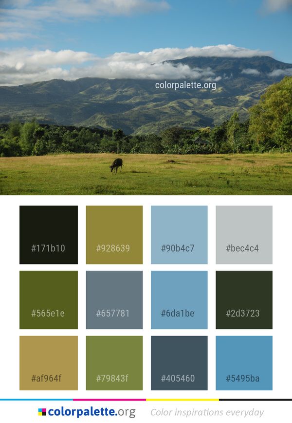 Highland Grassland Sky Color Palette