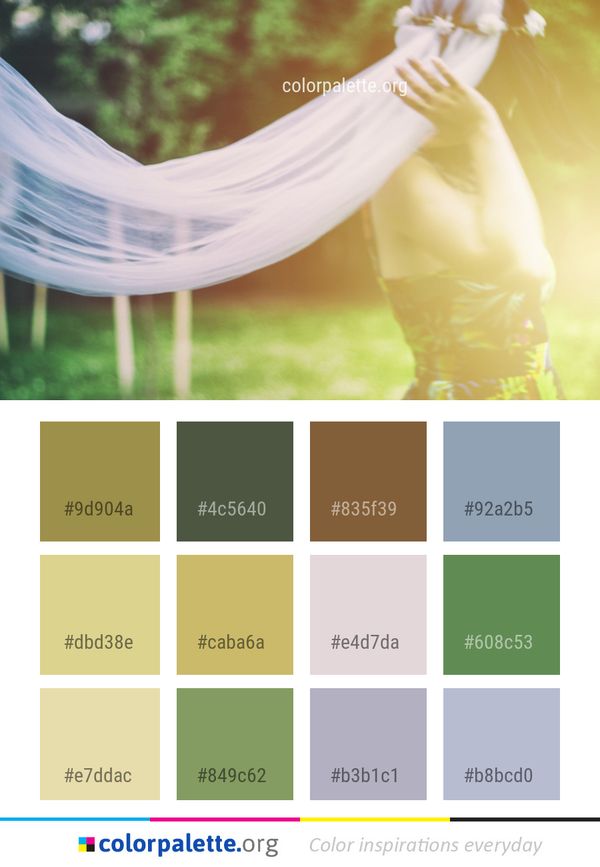 Photograph Yellow Sunlight Color Palette