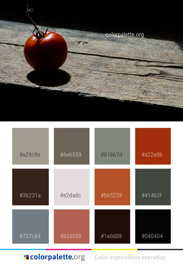 Red Still Life Photography Macro Color Palette