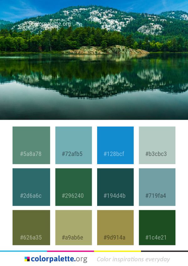 Reflection Nature Water Color Palette