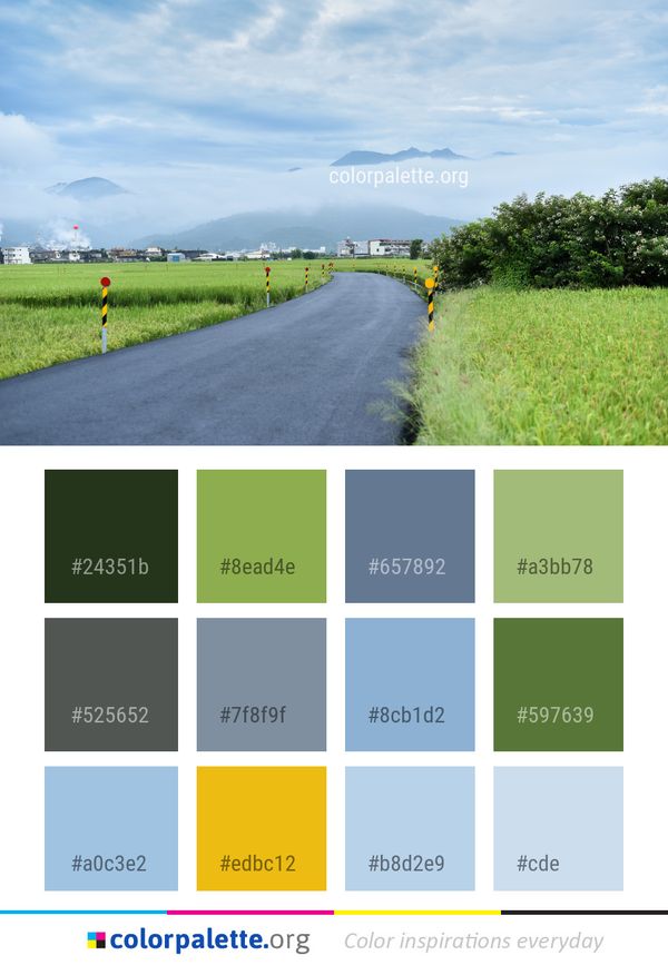 Road Grassland Sky Color Palette