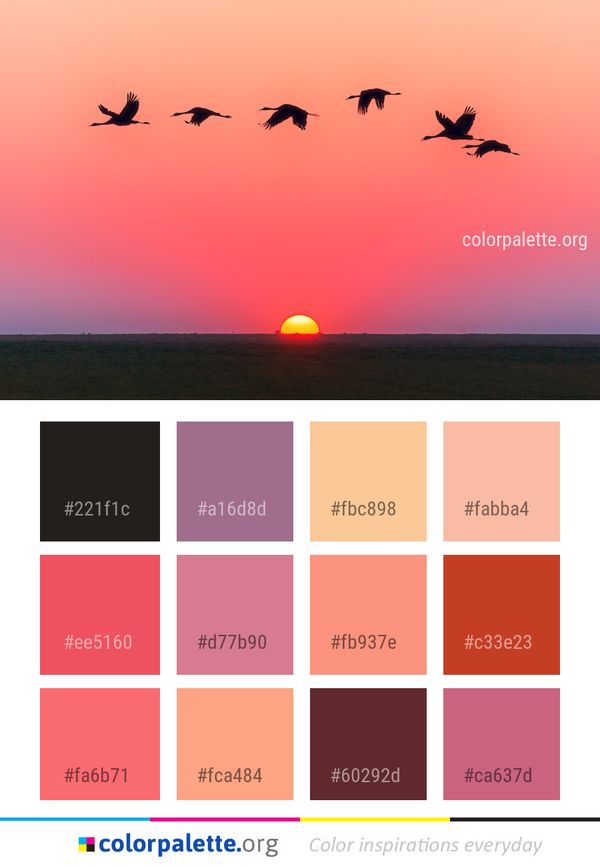 Sky Sunrise Bird Migration Color Palette