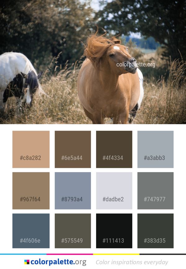 Cattle Like Mammal Wildlife Grass Color Palette