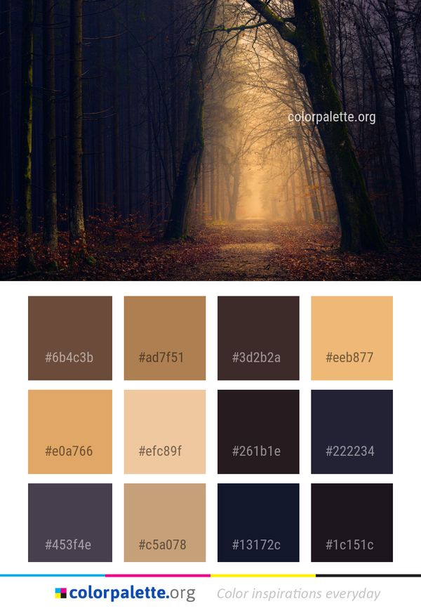 Forest Nature Woodland Color Palette