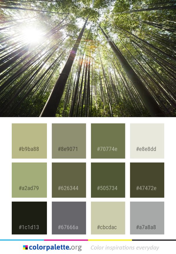 Nature Tree Forest Color Palette