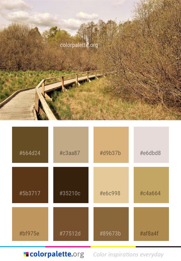 Path Nature Reserve Tree Color Palette