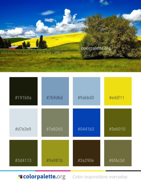 Sky Grassland Cloud Color Palette