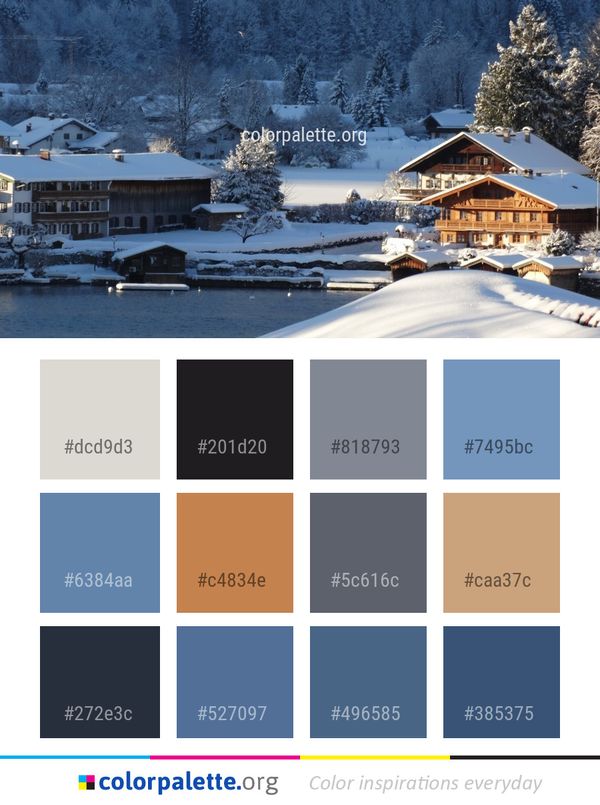 Winter Snow Home Color Palette