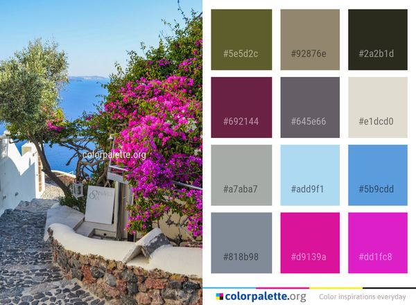 Flower Sky Plant Color Palette