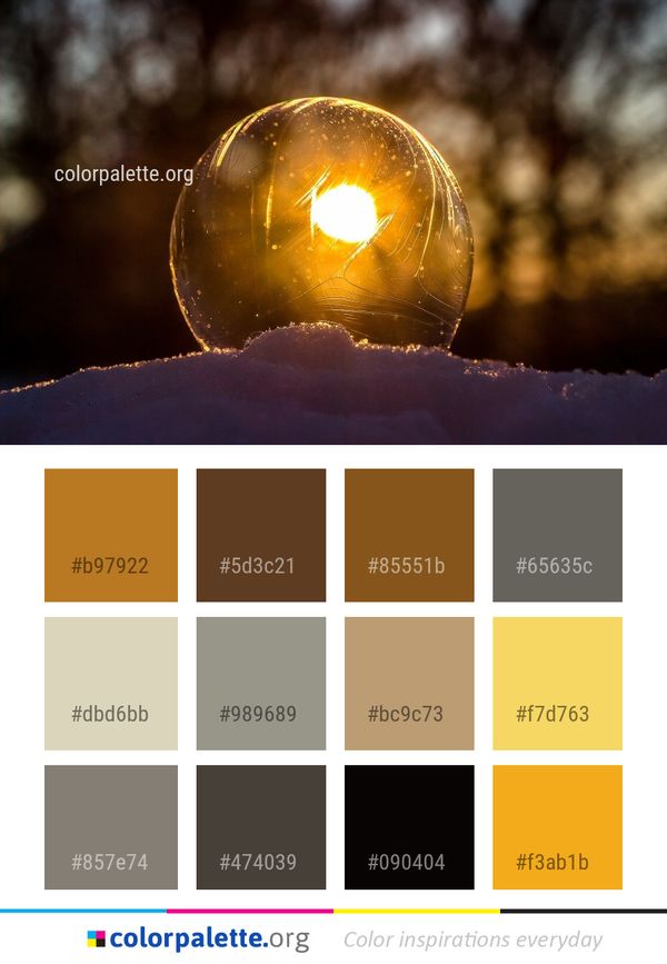 Light Macro Photography Atmosphere Color Palette