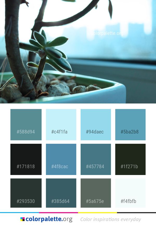 Plant Leaf Flowerpot Color Palette