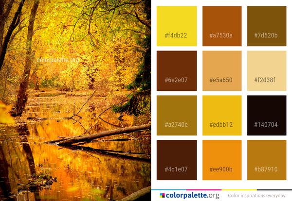 Reflection Nature Leaf Color Palette