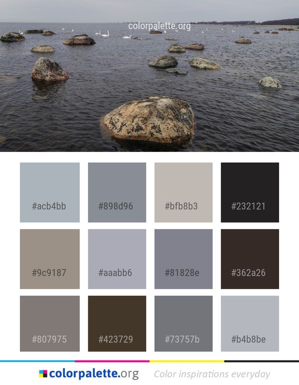 Rock Sea Shore Color Palette