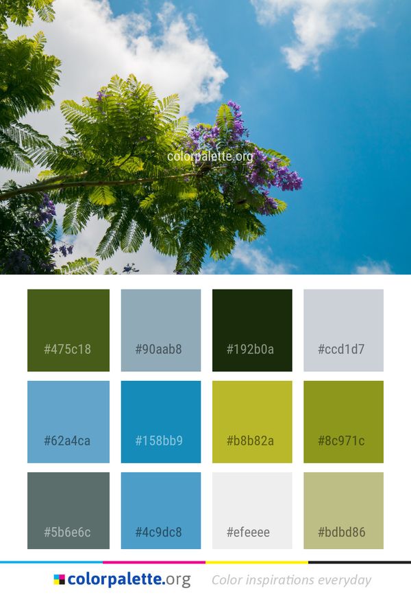 Sky Nature Leaf Color Palette