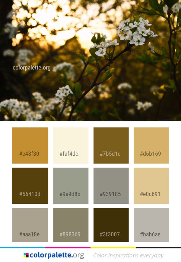 Spring Blossom Plant Color Palette