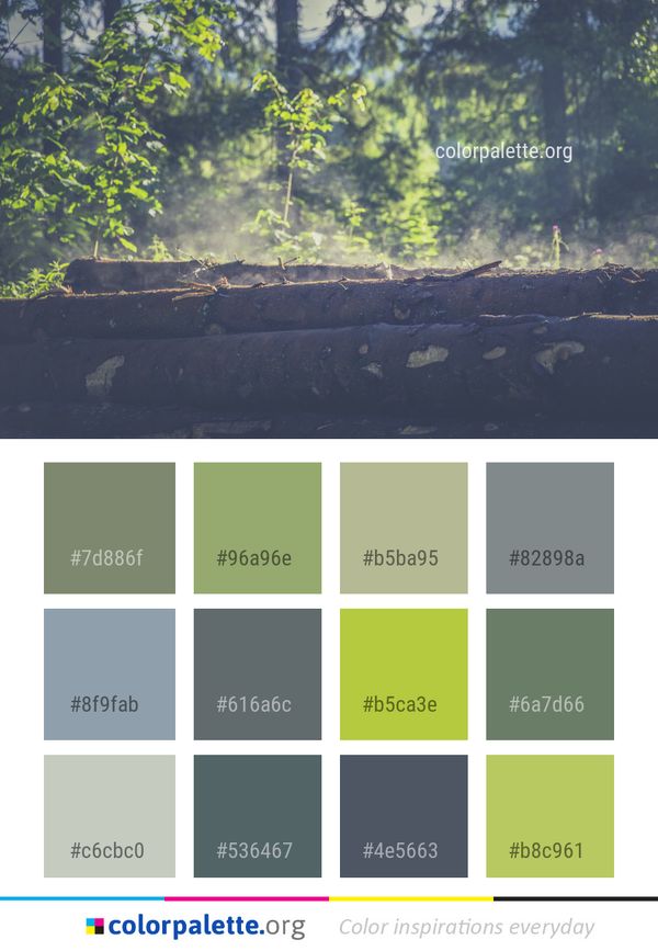 Tree Leaf Sunlight Color Palette