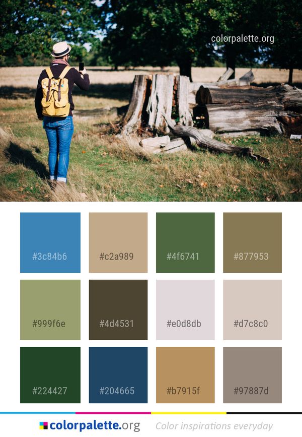 Tree Woody Plant Color Palette