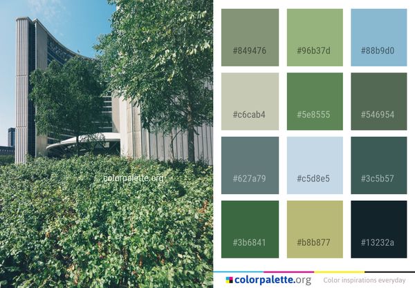 Vegetation Tree Leaf Color Palette