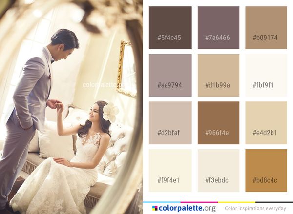 Wedding Dress Gown Bridal Clothing Color Palette
