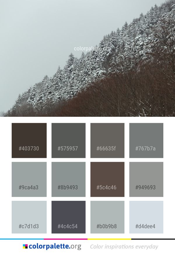 Winter Snow Tree Color Palette