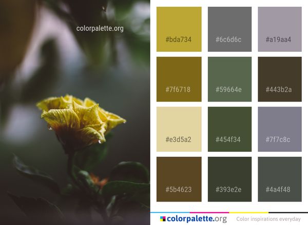 Yellow Flower Flora Color Palette
