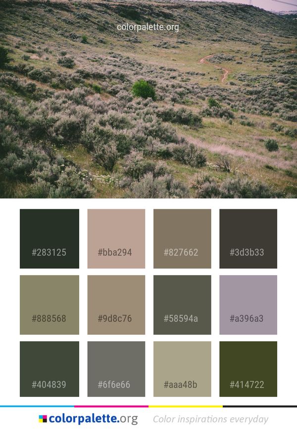 Chaparral Ecosystem Shrubland Color Palette