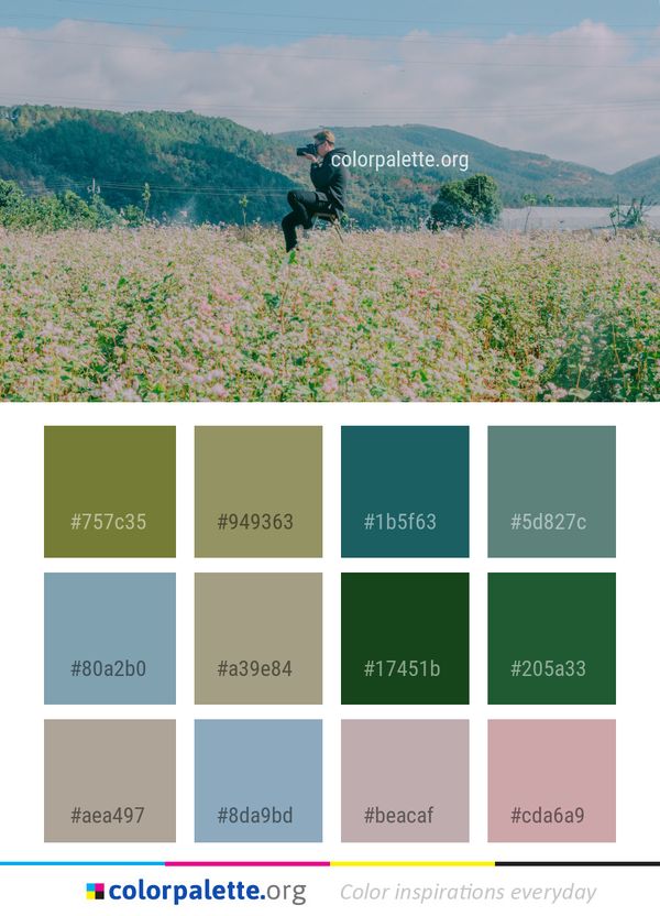 Ecosystem Grassland Field Color Palette