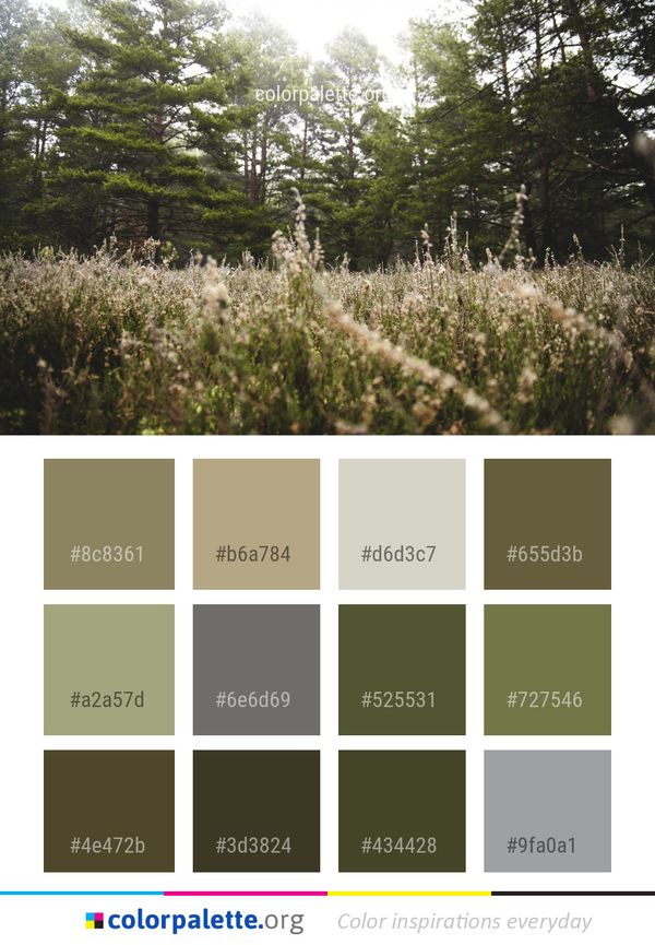 Ecosystem Vegetation Nature Reserve Color Palette