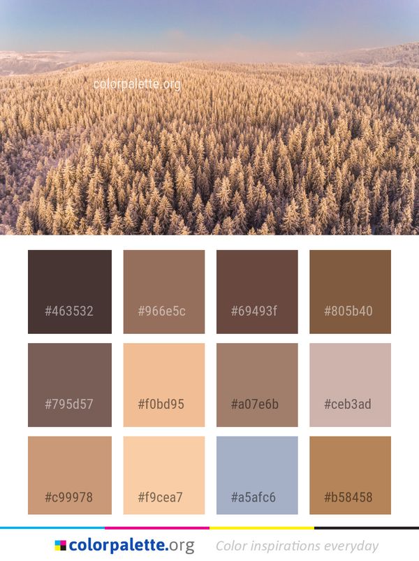Ecosystem Winter Sky Color Palette