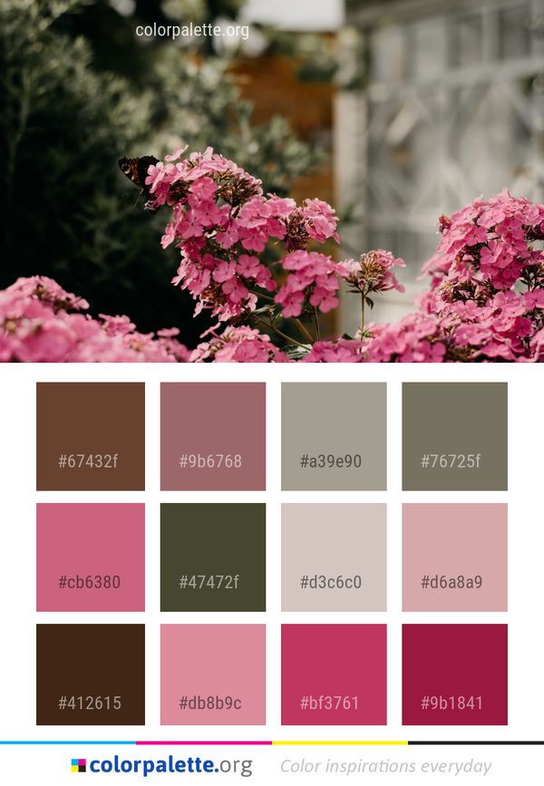 Flower Pink Plant Color Palette