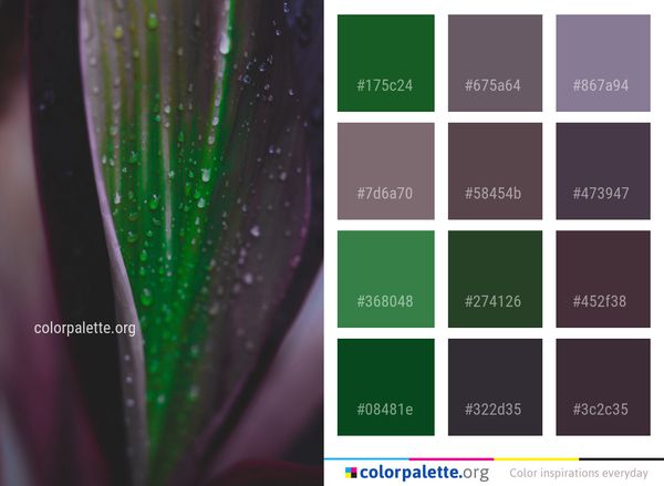 Green Macro Photography Water Color Palette