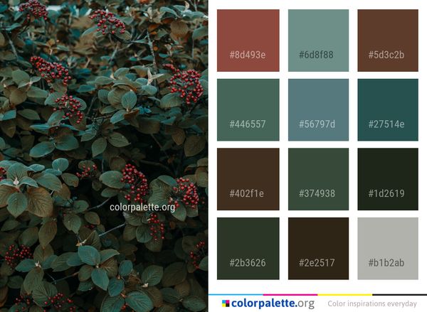 Plant Flora Leaf Color Palette