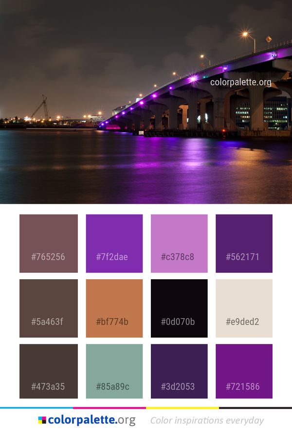 Reflection Bridge Night Color Palette
